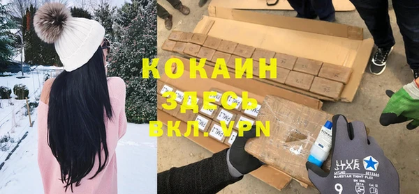 ешки Ельня